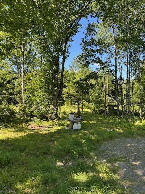 Lot 8 Winter Hill Lane, Monson, ME 04464