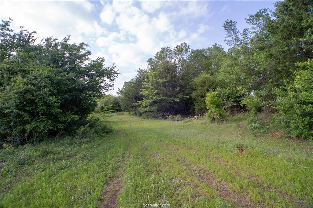 9525 S Hickory Loop County Road, Calvert, TX 77837