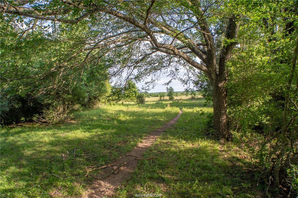 9525 S Hickory Loop County Road, Calvert, TX 77837