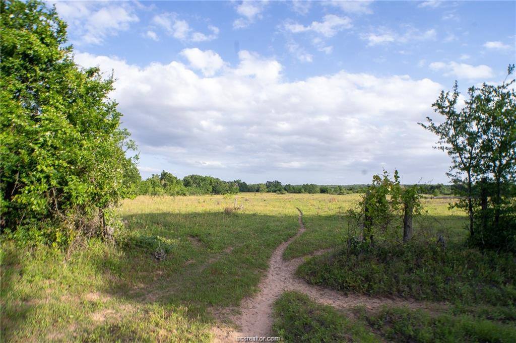 9525 S Hickory Loop County Road, Calvert, TX 77837