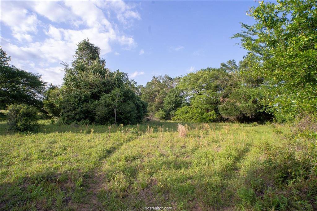 9525 S Hickory Loop County Road, Calvert, TX 77837