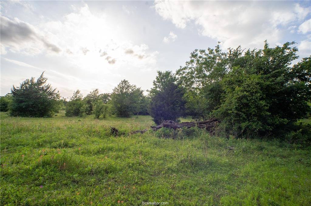 9525 S Hickory Loop County Road, Calvert, TX 77837
