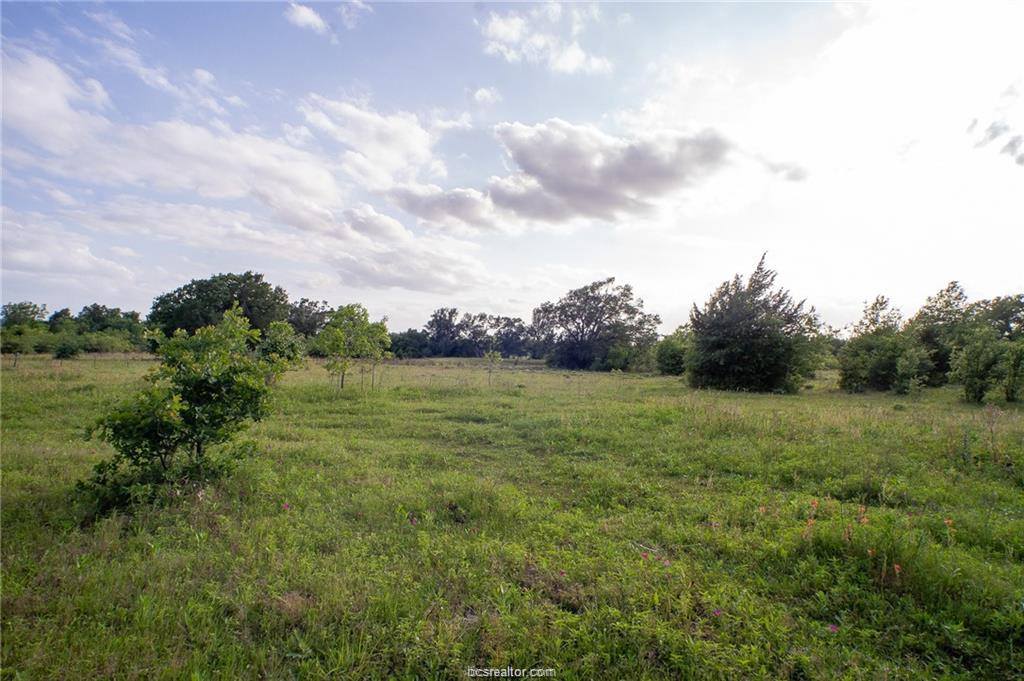 9525 S Hickory Loop County Road, Calvert, TX 77837