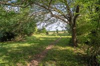 9525 S Hickory Loop County Road, Calvert, TX 77837