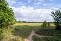 9525 S Hickory Loop County Road, Calvert, TX 77837