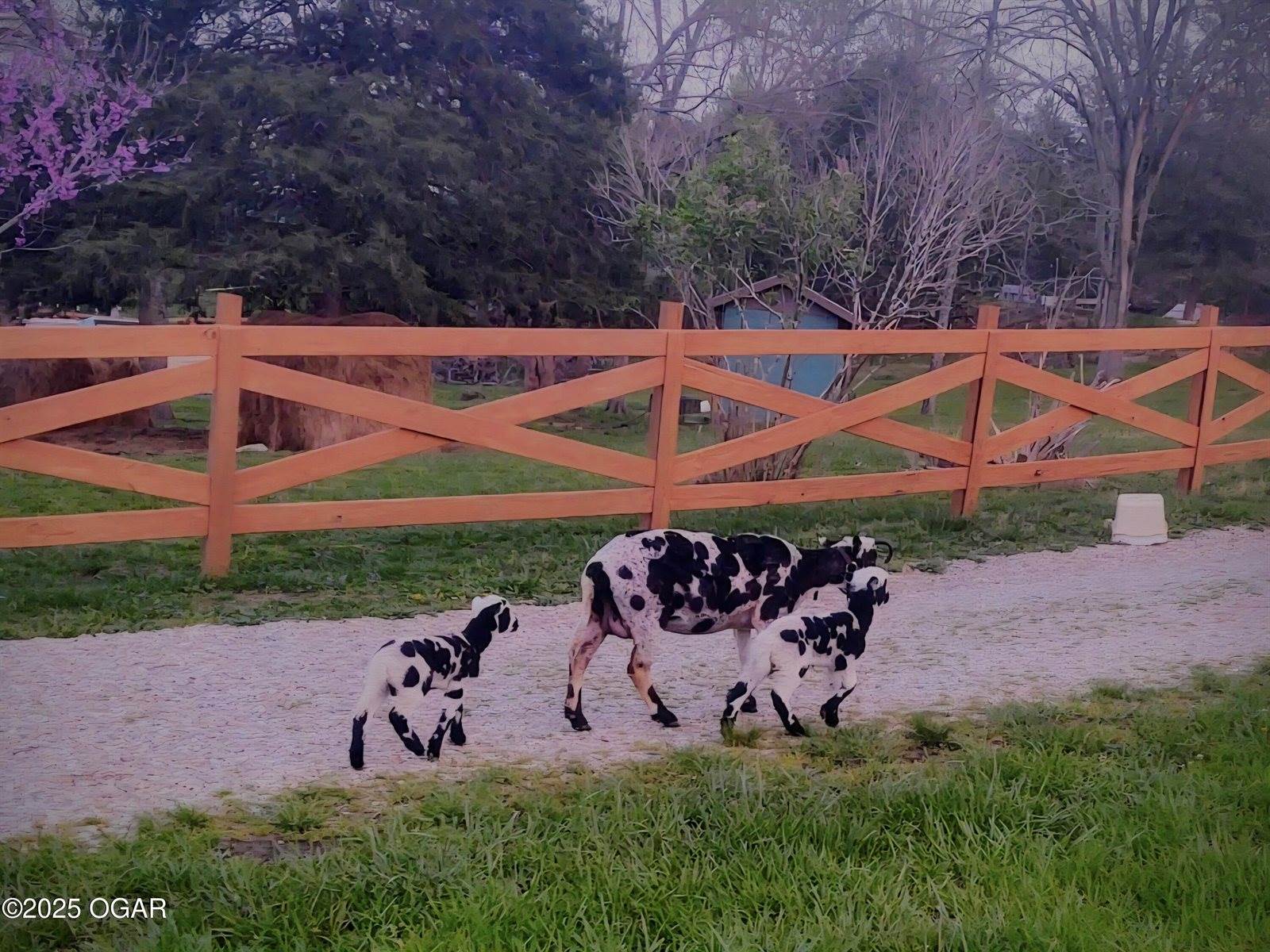 10463 Farm Road 1182, Aurora, MO 65605