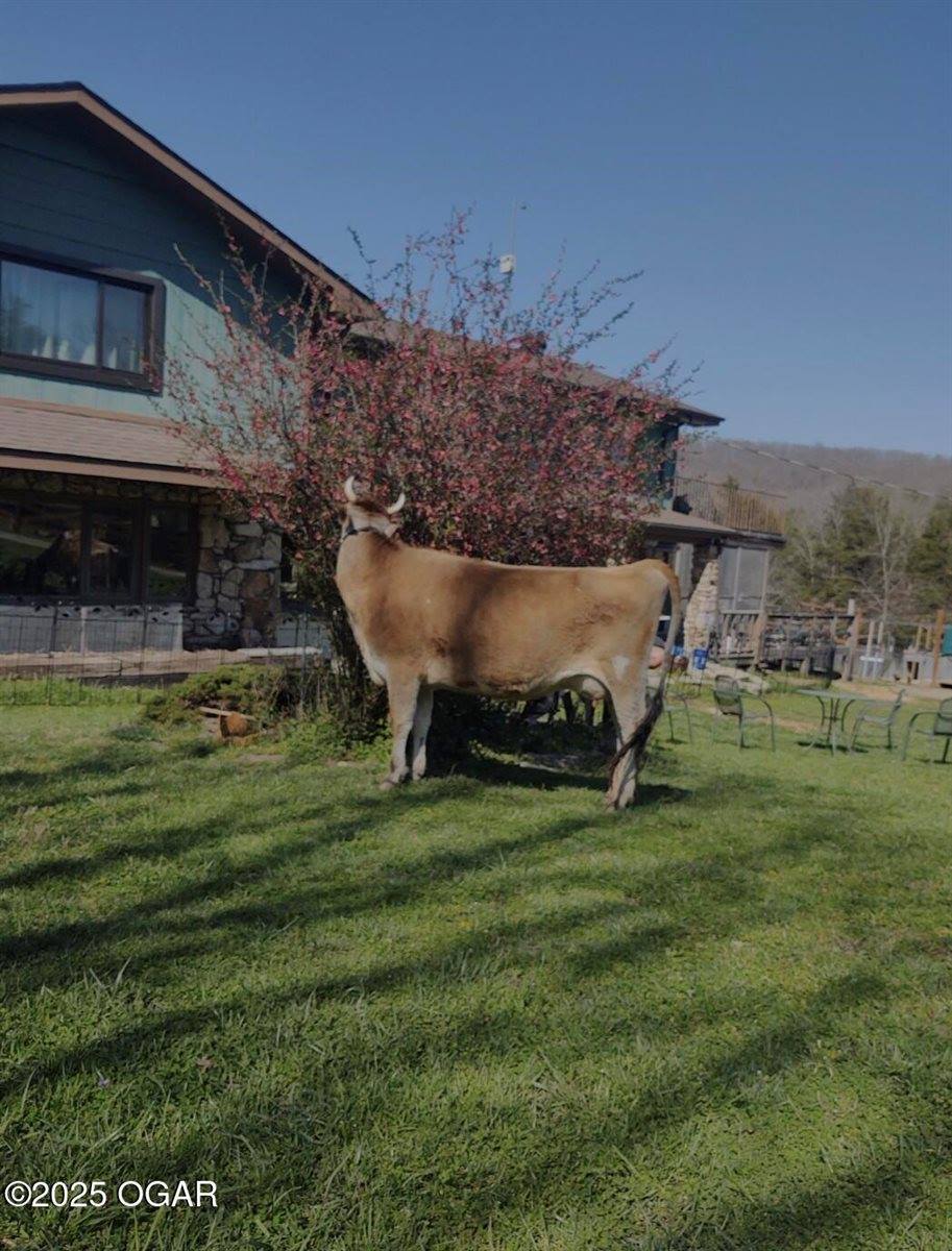 10463 Farm Road 1182, Aurora, MO 65605