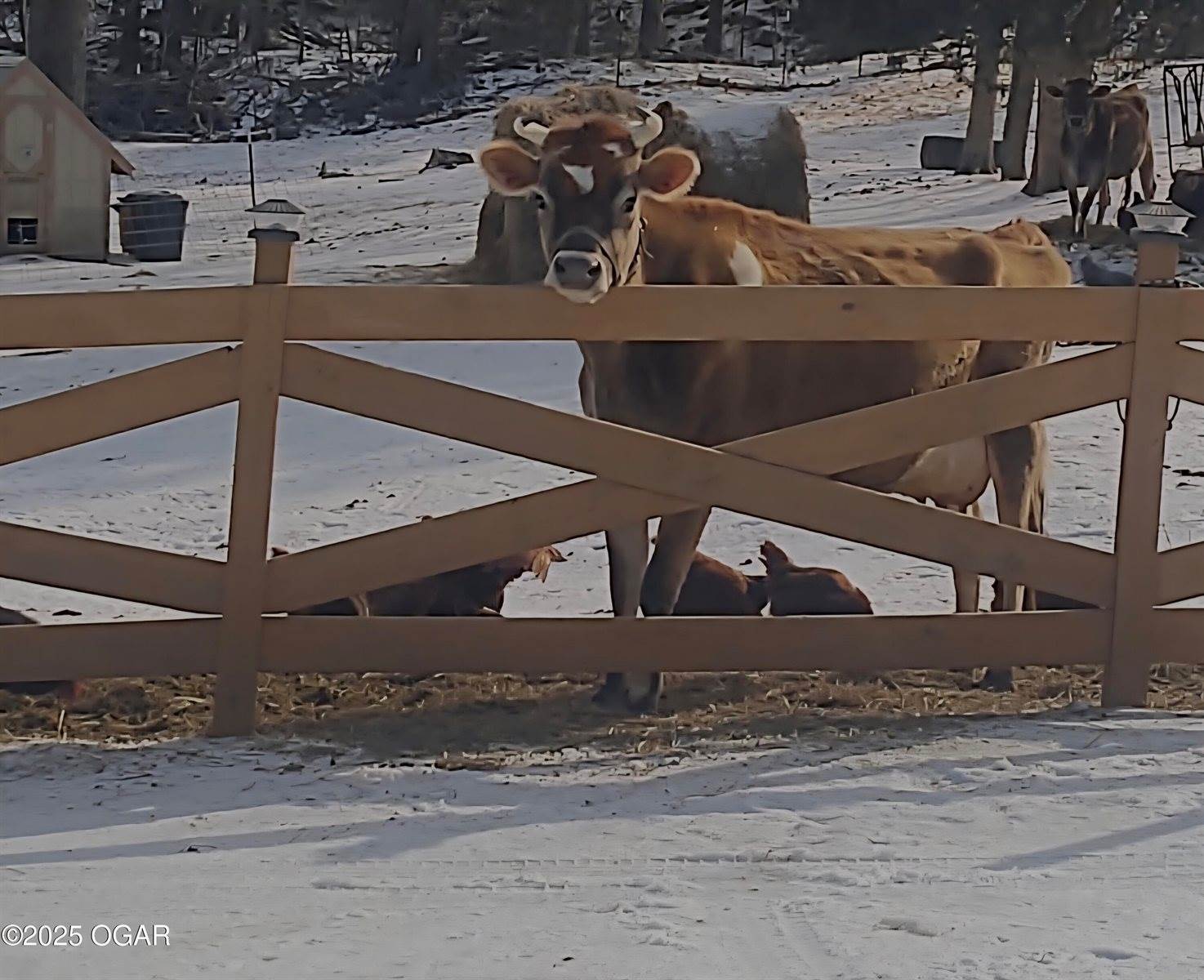 10463 Farm Road 1182, Aurora, MO 65605