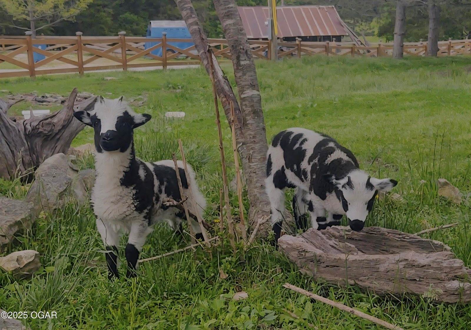 10463 Farm Road 1182, Aurora, MO 65605