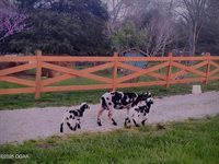 10463 Farm Road 1182, Aurora, MO 65605