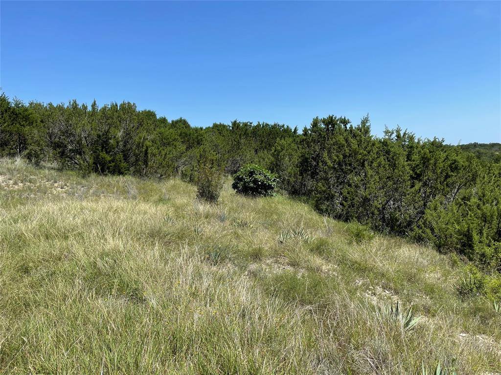 1425 Skyline Drive, Bluff Dale, TX 76433
