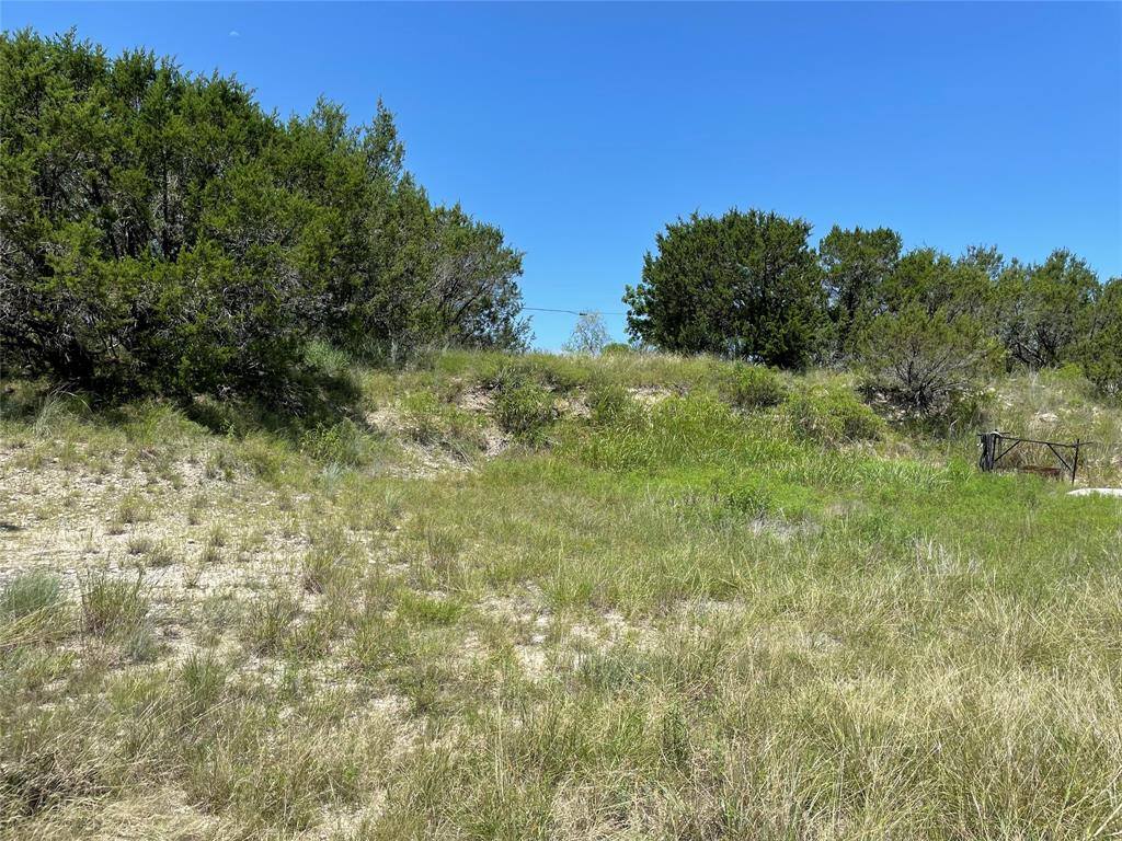 1425 Skyline Drive, Bluff Dale, TX 76433