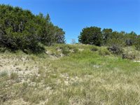 1425 Skyline Drive, Bluff Dale, TX 76433