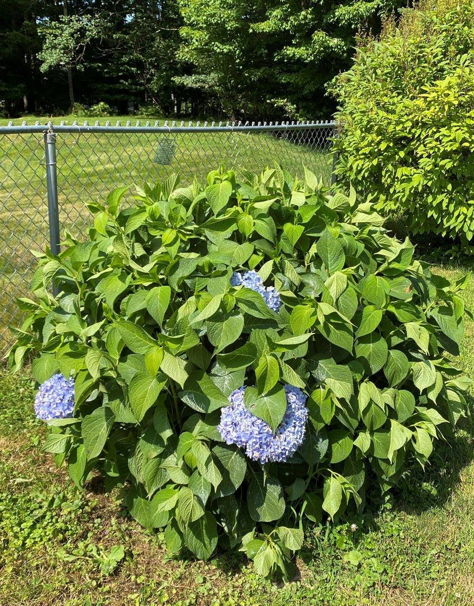 43 Homsted Lane, Hermon, ME 04401