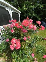 43 Homsted Lane, Hermon, ME 04401