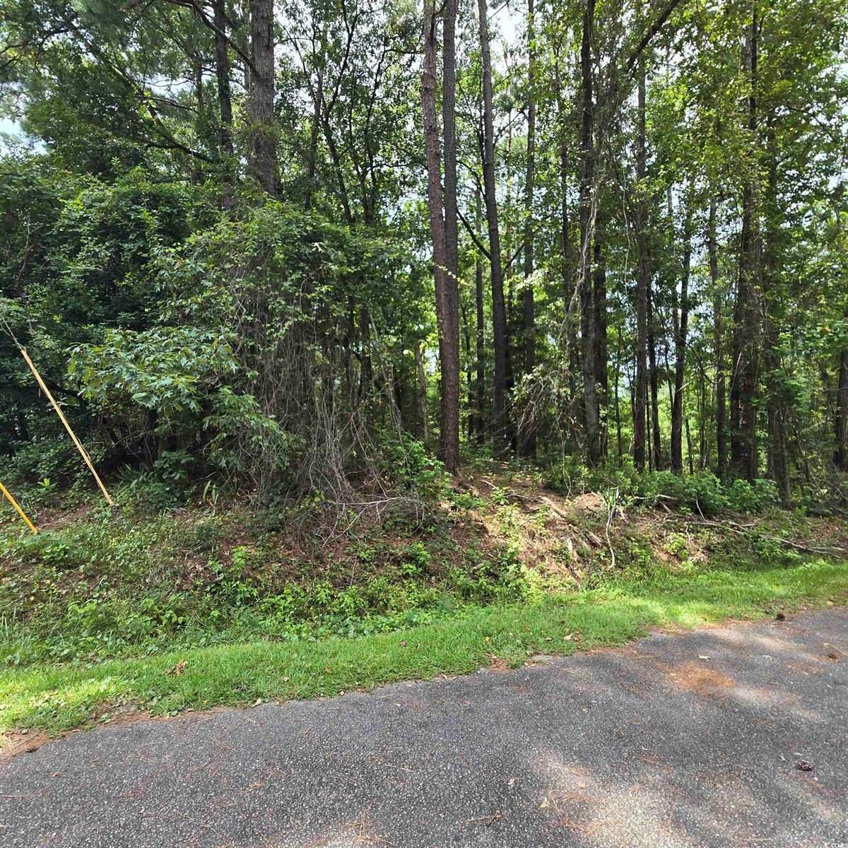 1051 Irene Ct., Conway, SC 29526