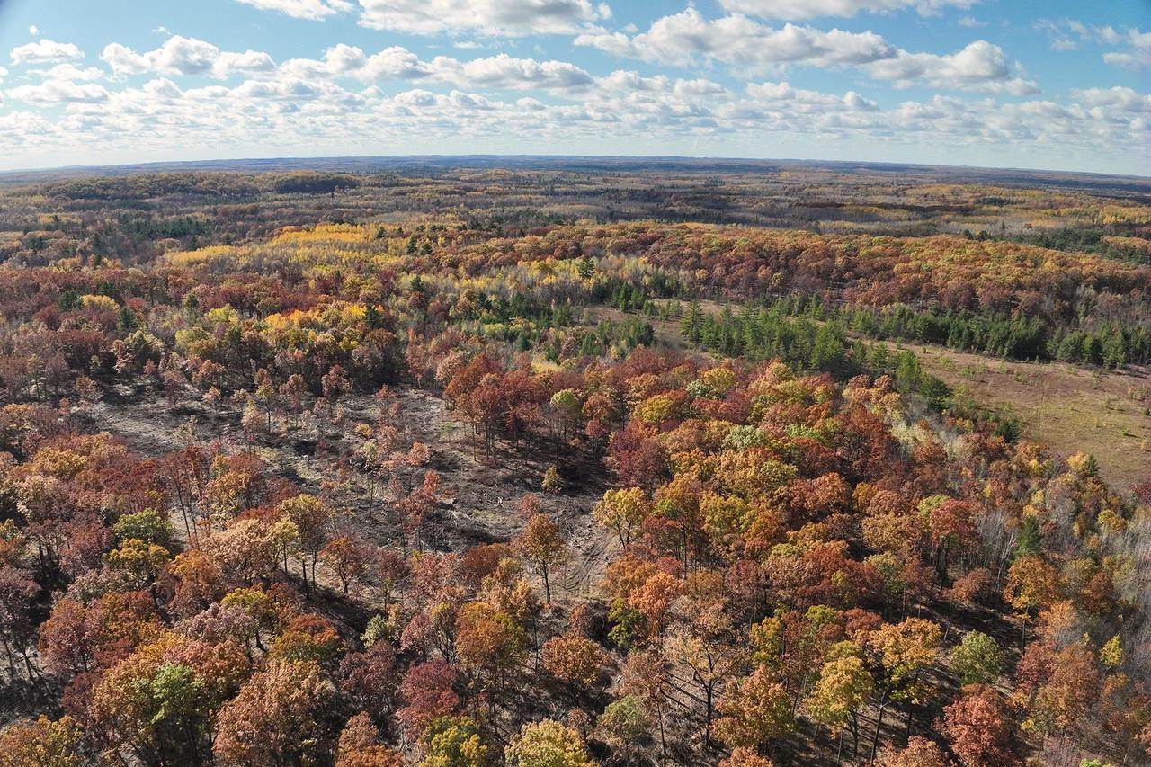 0000 Heintown Road, Willard, WI 54493