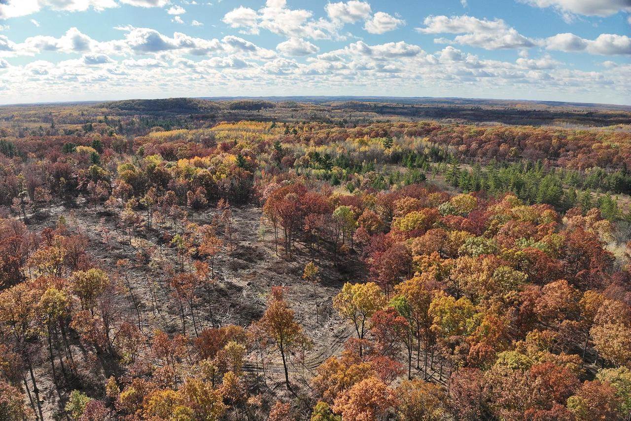 0000 Heintown Road, Willard, WI 54493