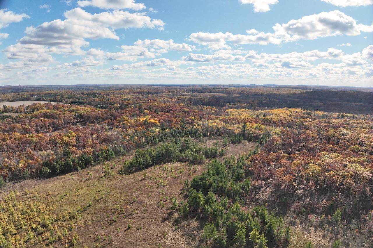 0000 Heintown Road, Willard, WI 54493