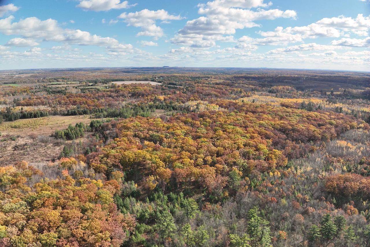 0000 Heintown Road, Willard, WI 54493