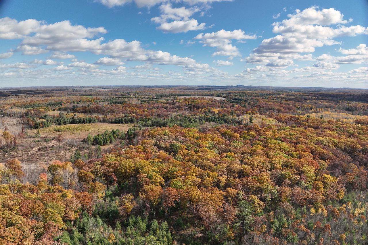 0000 Heintown Road, Willard, WI 54493