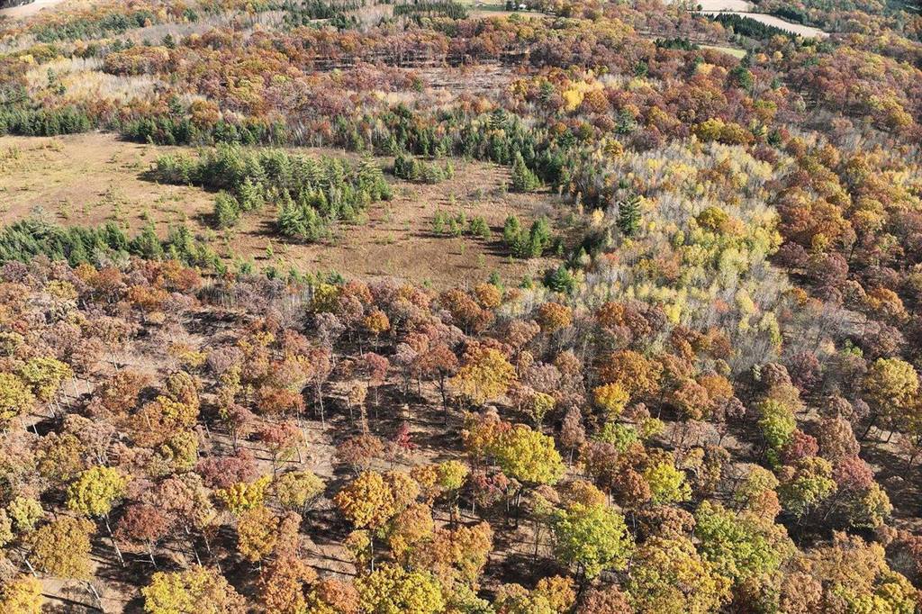 0000 Heintown Road, Willard, WI 54493