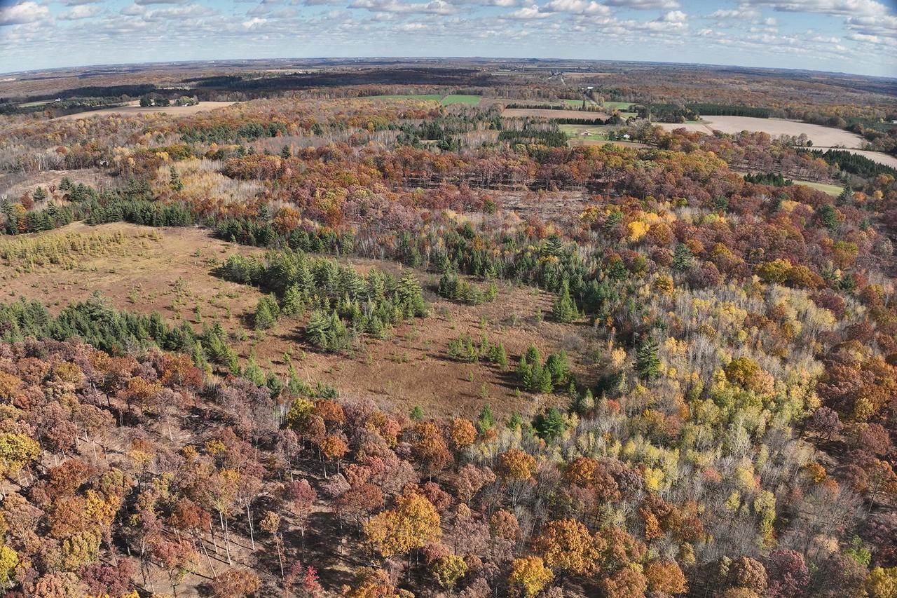 0000 Heintown Road, Willard, WI 54493