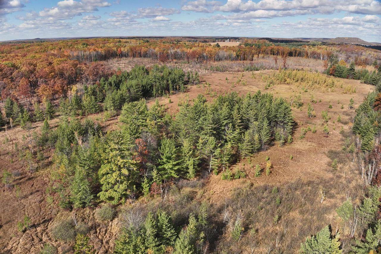 0000 Heintown Road, Willard, WI 54493