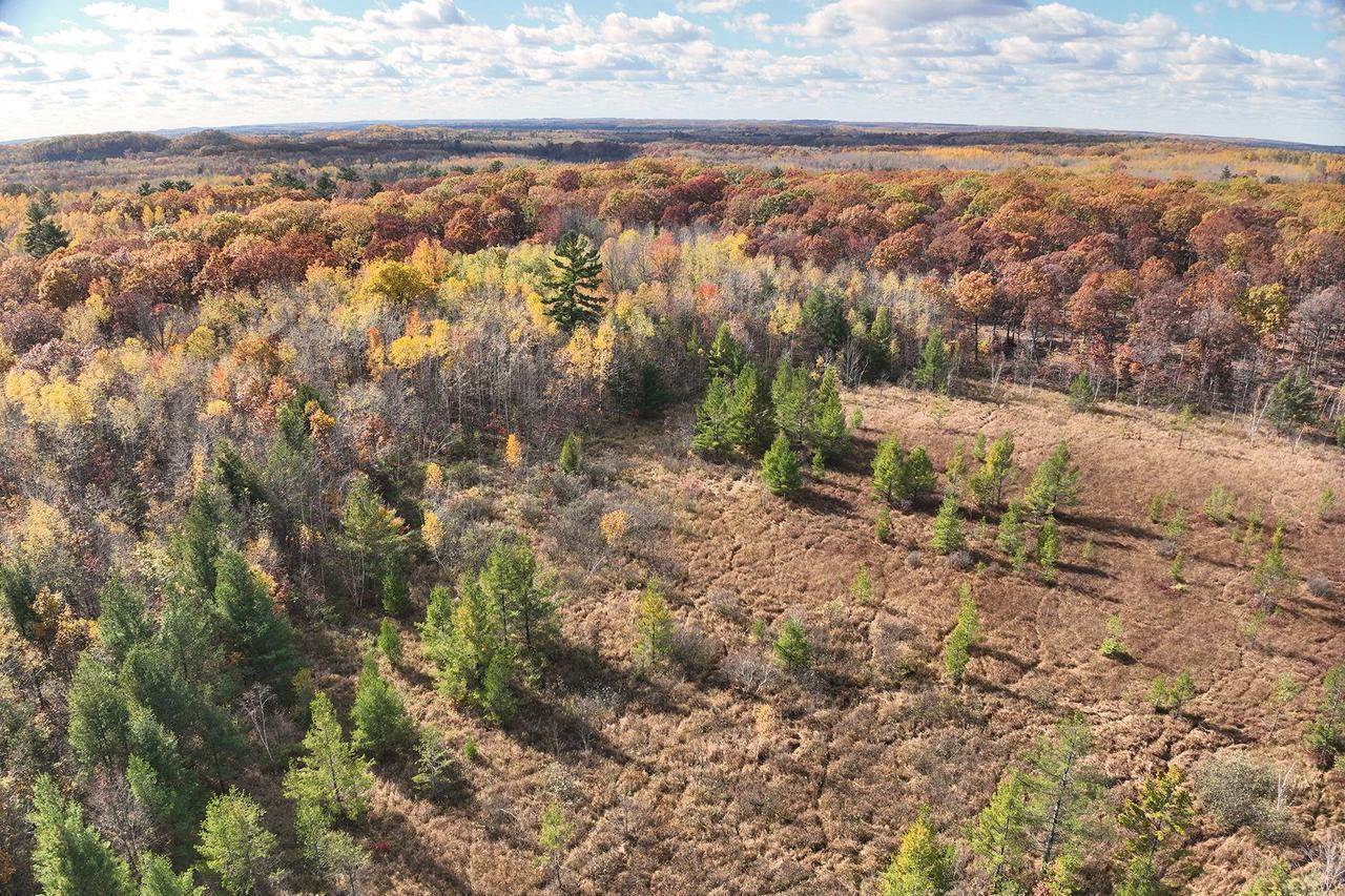 0000 Heintown Road, Willard, WI 54493