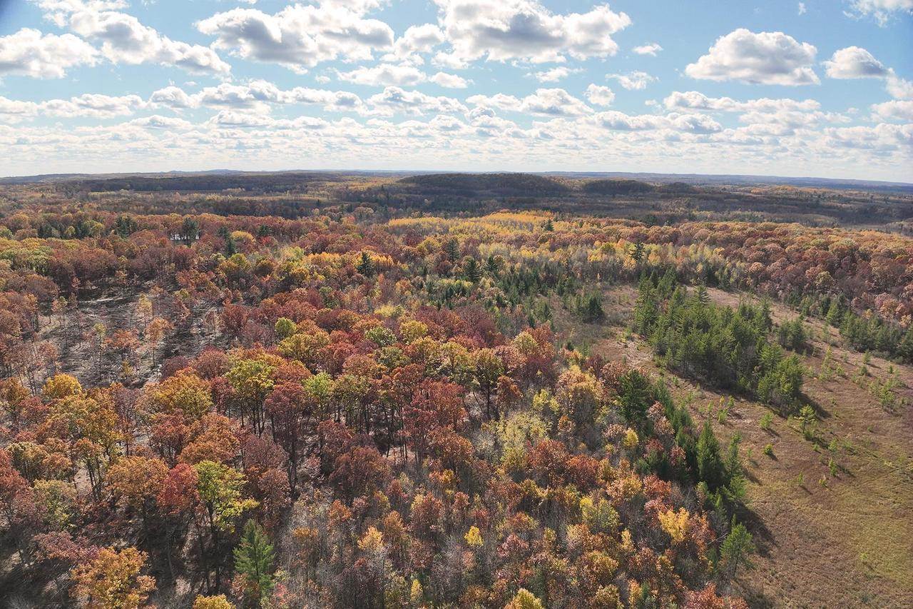 0000 Heintown Road, Willard, WI 54493