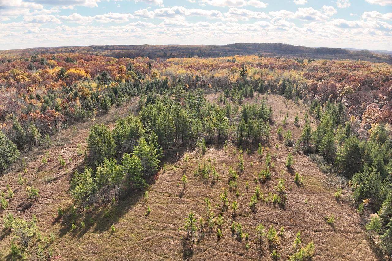 0000 Heintown Road, Willard, WI 54493