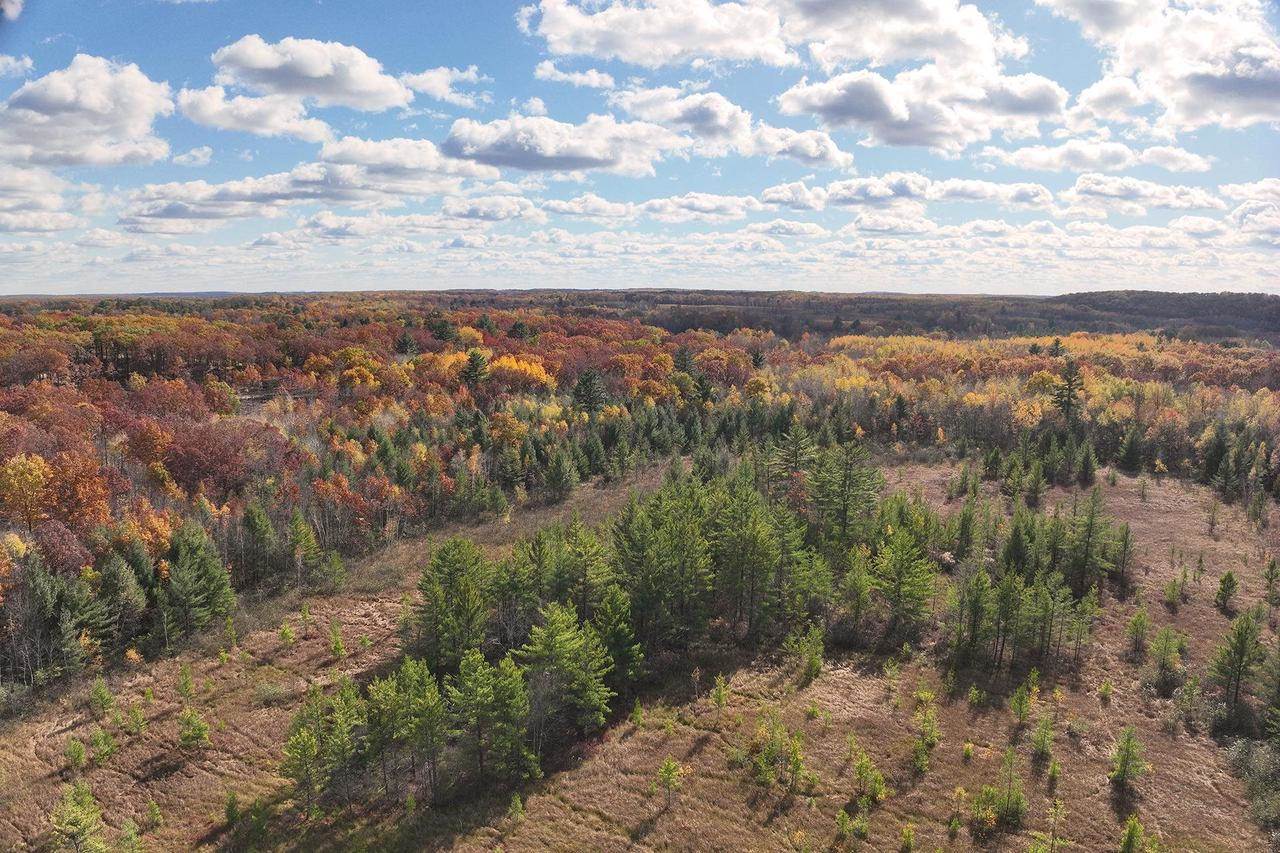 0000 Heintown Road, Willard, WI 54493