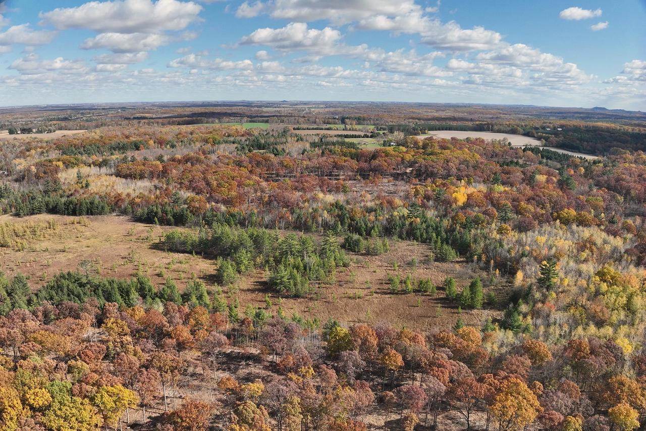 0000 Heintown Road, Willard, WI 54493