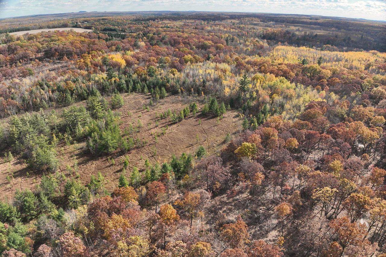 0000 Heintown Road, Willard, WI 54493