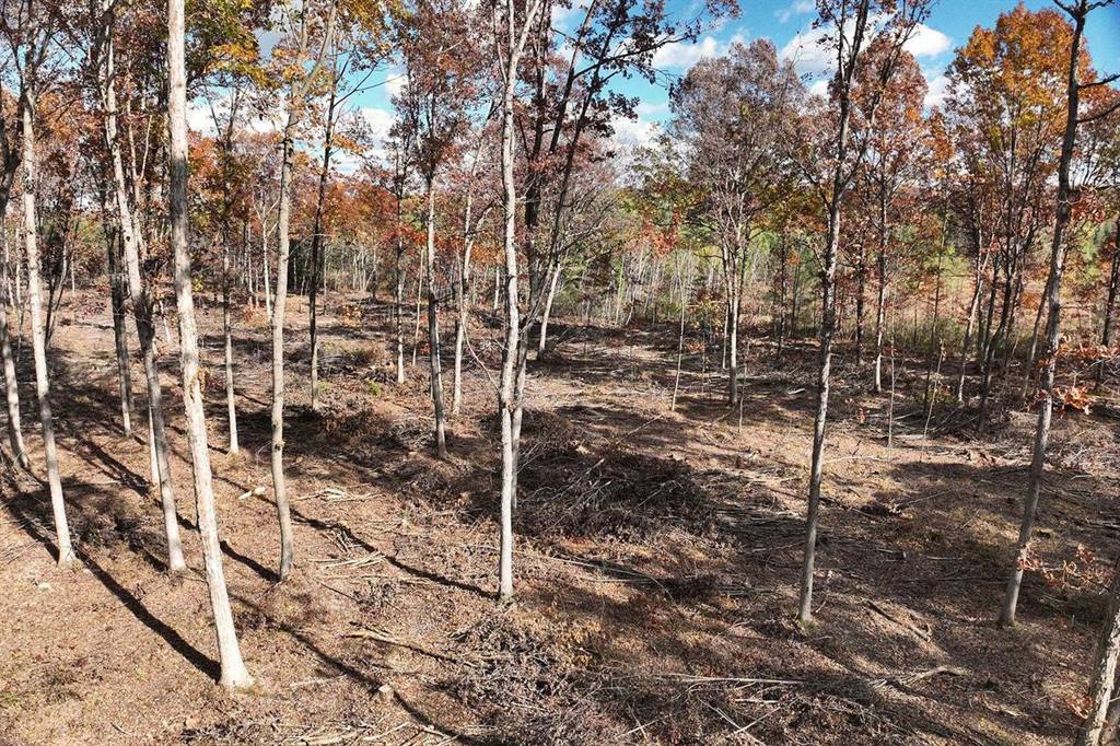 0000 Heintown Road, Willard, WI 54493