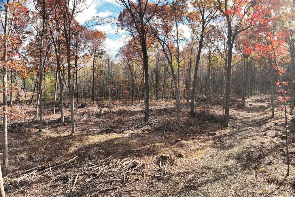 0000 Heintown Road, Willard, WI 54493