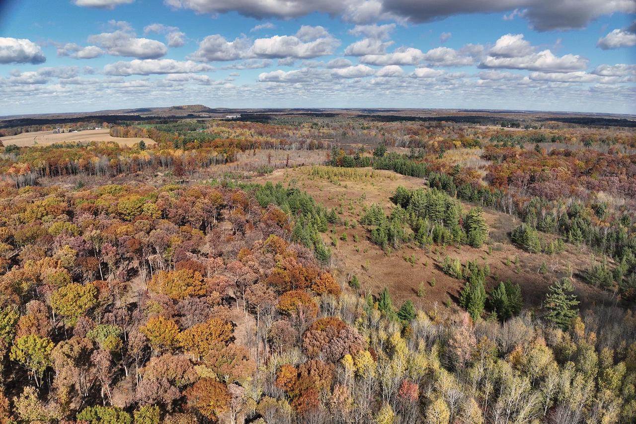 0000 Heintown Road, Willard, WI 54493