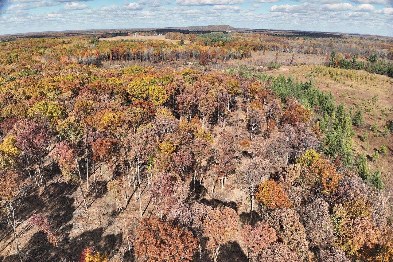 0000 Heintown Road, Willard, WI 54493