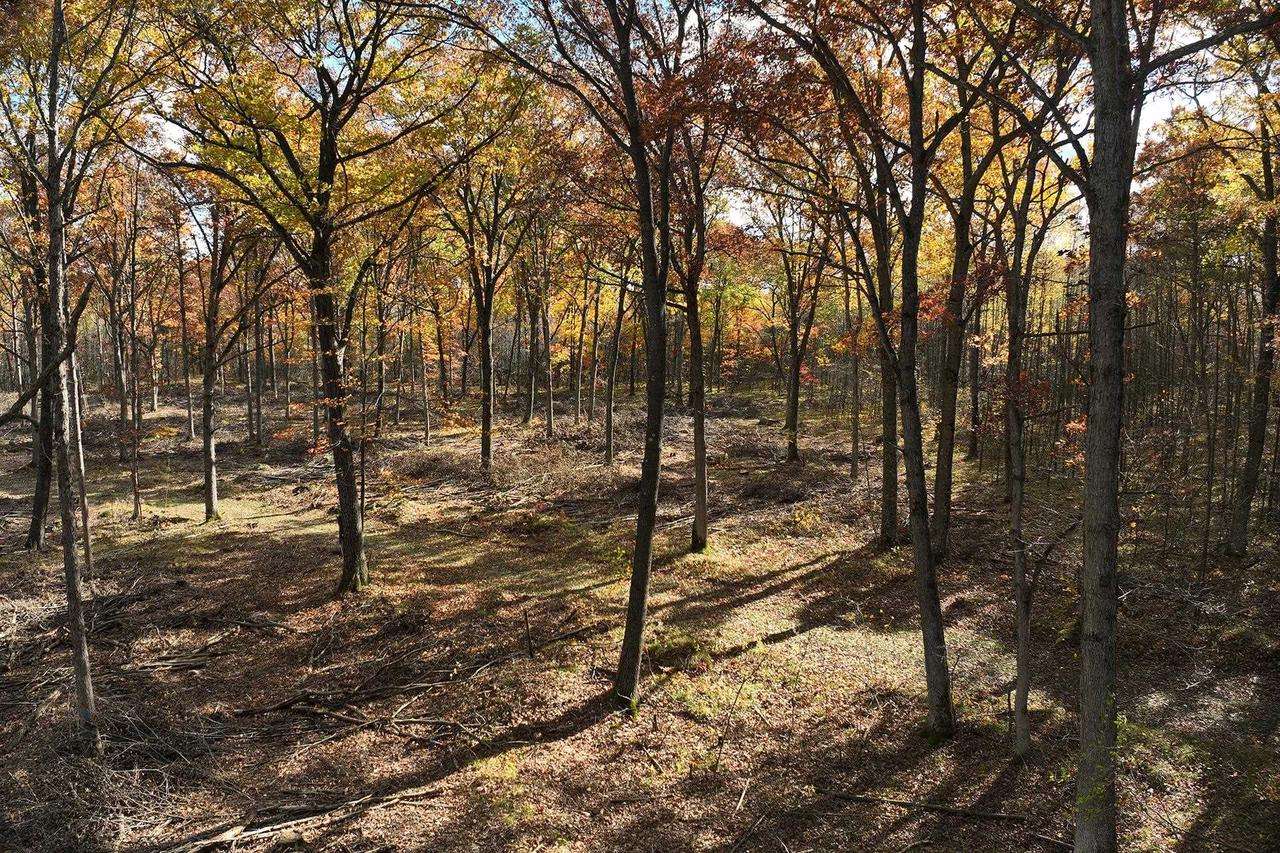 0000 Heintown Road, Willard, WI 54493