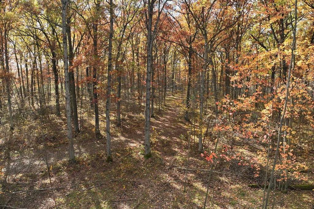 0000 Heintown Road, Willard, WI 54493