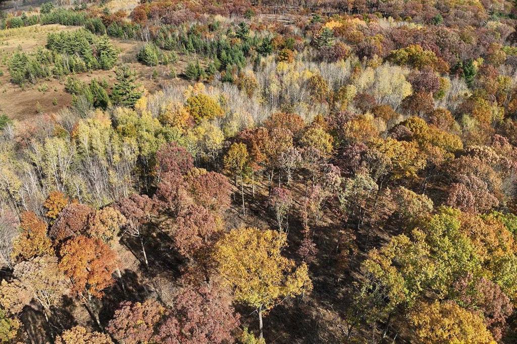 0000 Heintown Road, Willard, WI 54493