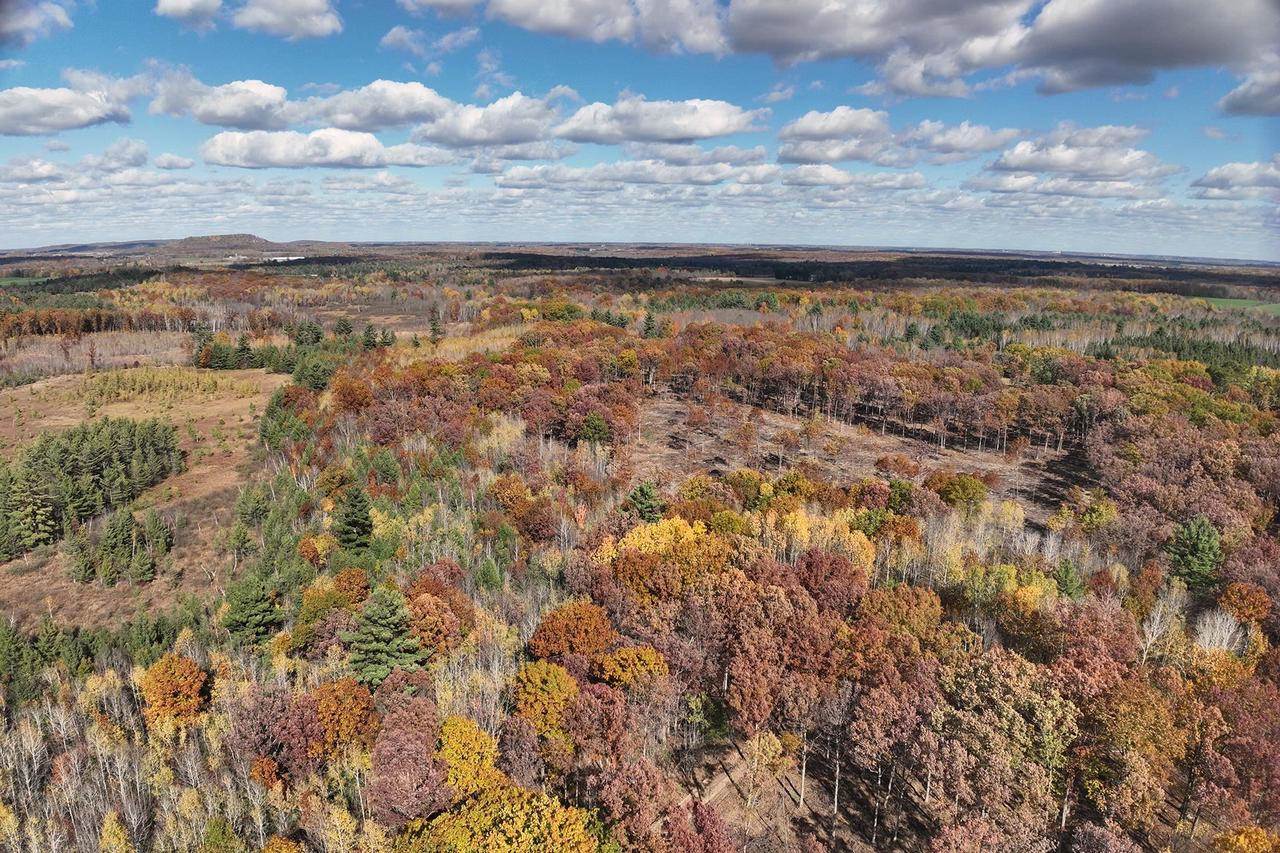 0000 Heintown Road, Willard, WI 54493