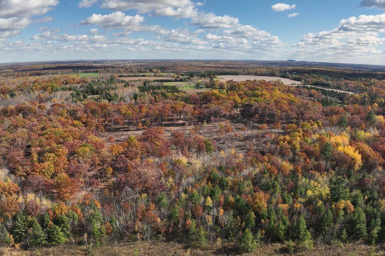 0000 Heintown Road, Willard, WI 54493