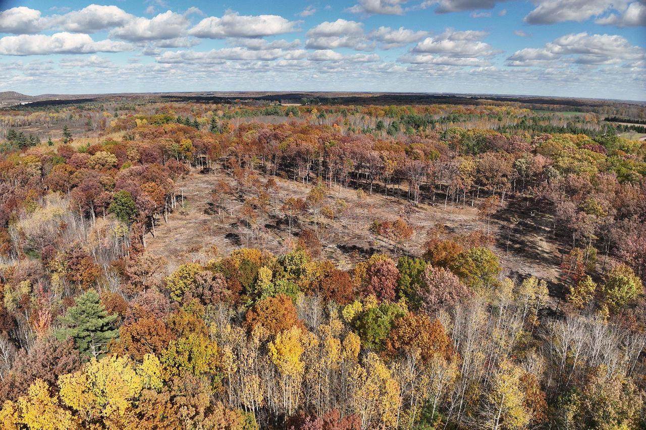 0000 Heintown Road, Willard, WI 54493