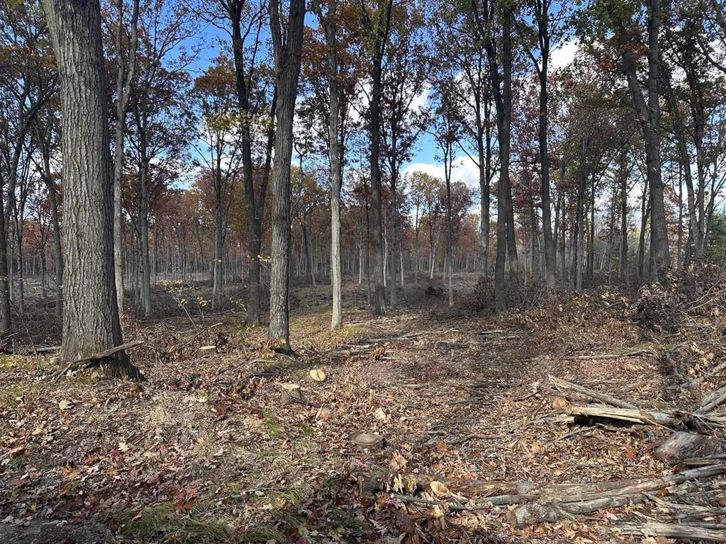 0000 Heintown Road, Willard, WI 54493