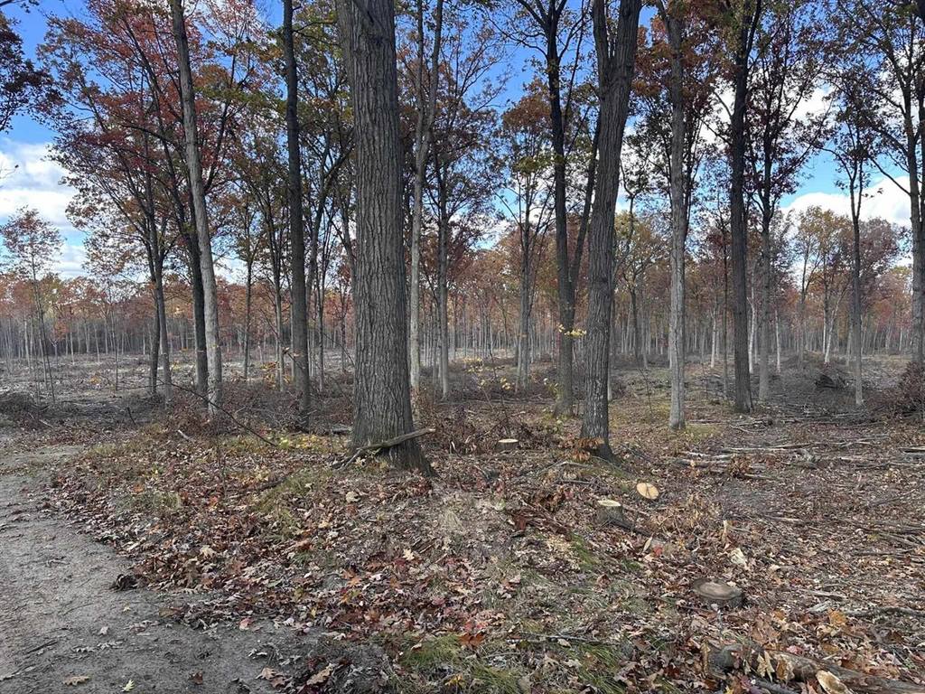 0000 Heintown Road, Willard, WI 54493