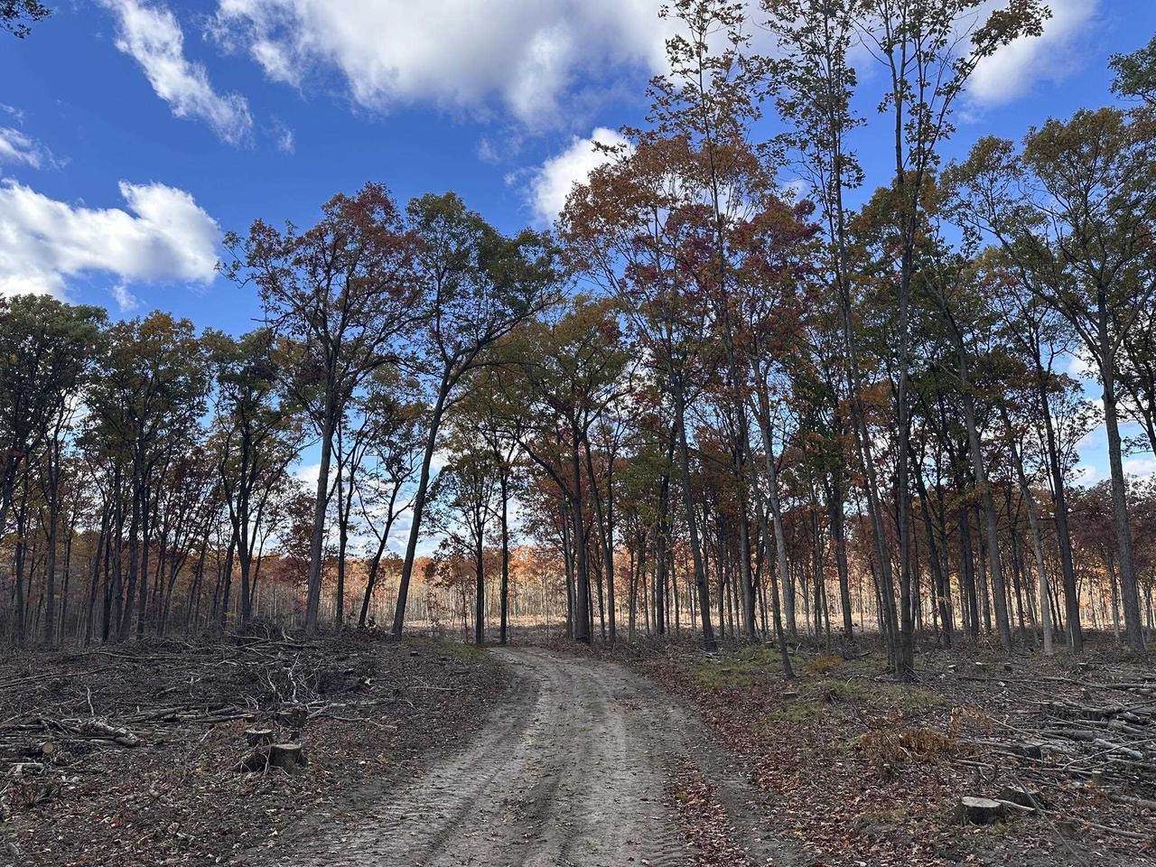 0000 Heintown Road, Willard, WI 54493