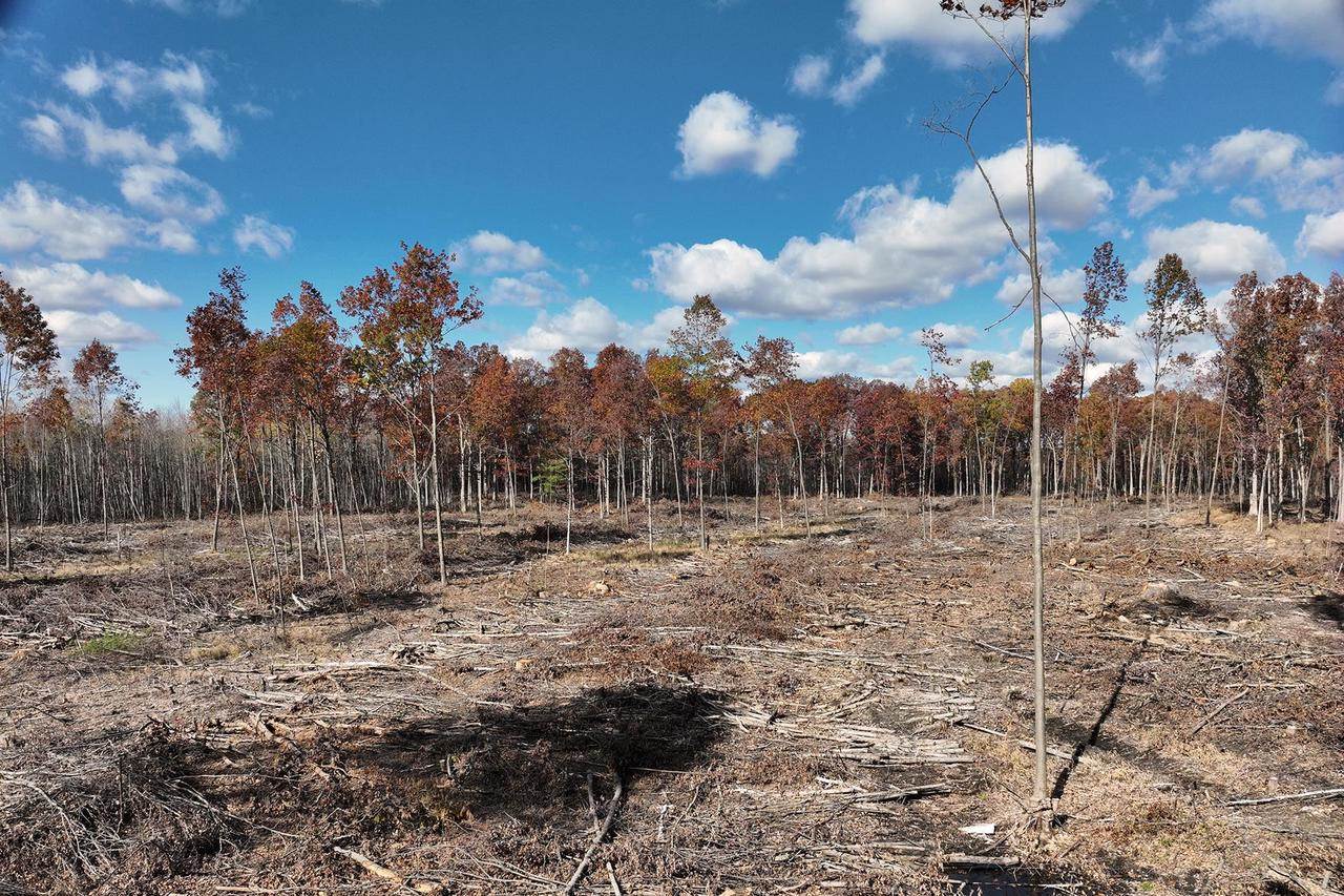 0000 Heintown Road, Willard, WI 54493