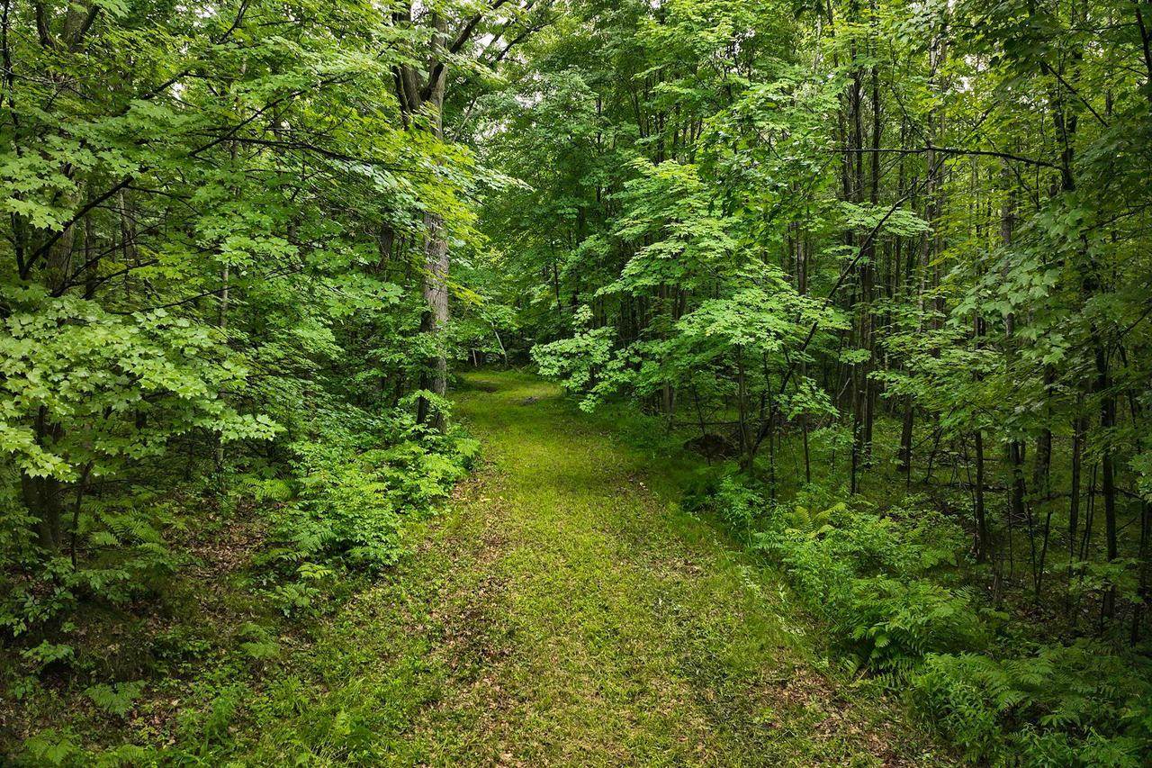 0000 Heintown Road, Willard, WI 54493