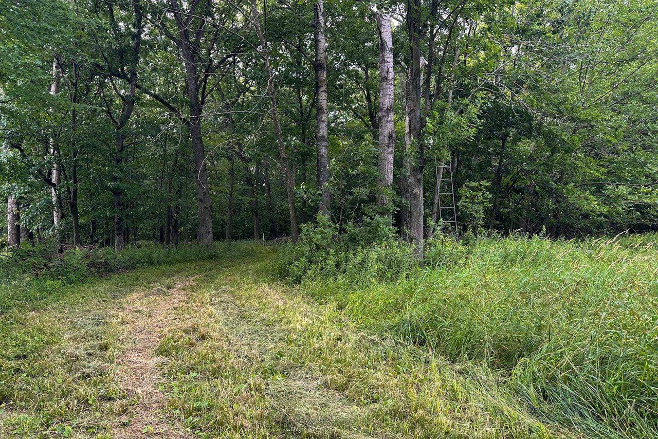 0000 Heintown Road, Willard, WI 54493